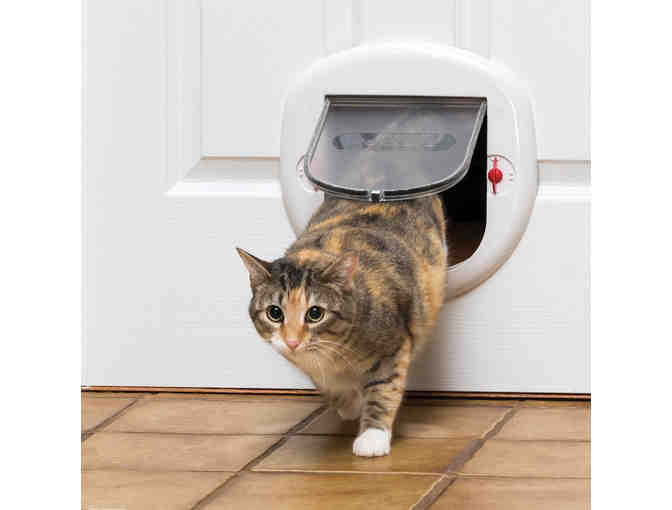 Pet Safe Big Cat Door