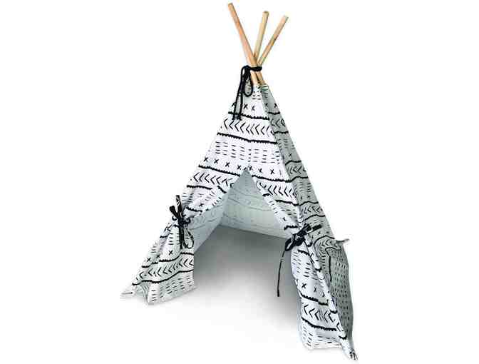 ASPCA Pet Teepee