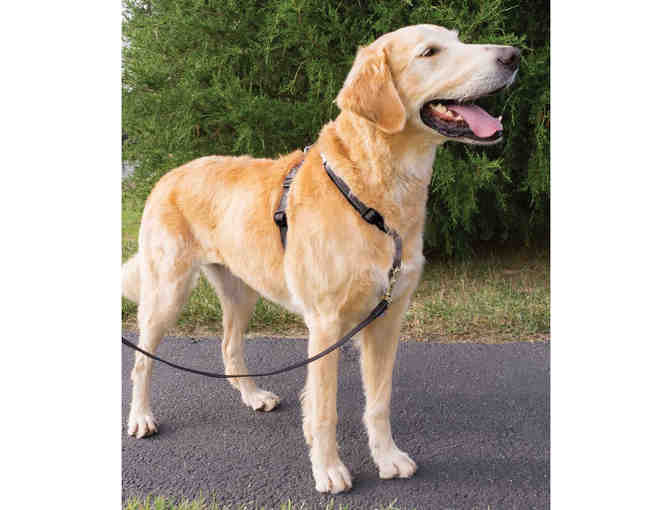 PetSafe 3 in 1 Harness