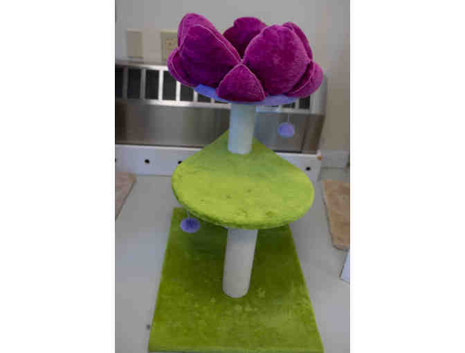 Green 28' Borrego Flower Power Cat Tree