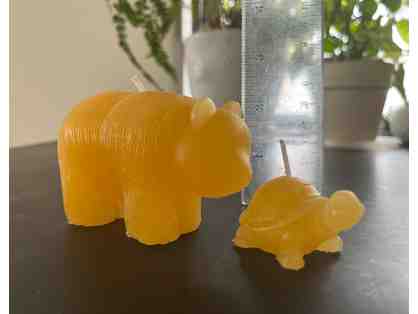 Beeswax Bear and Turtle Candles