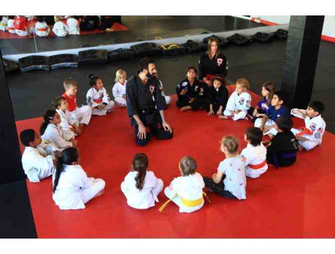 Karate- 2 Weeks Private and Group Karate Instruction + Uniform and Belt- adult or child