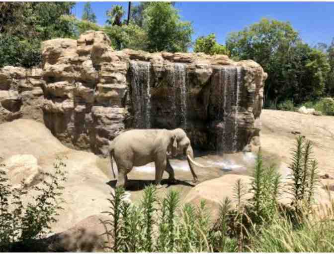 Los Angeles Zoo VIP CART TOUR and Admission for 6 Guests