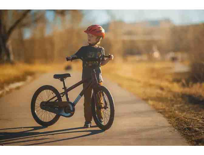 Kid's 20' Bicycle in Matte Pitch Blue