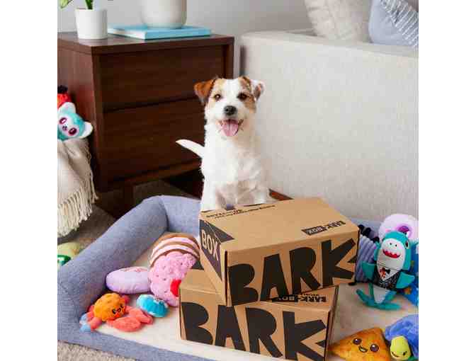 Bark Box 1 Month Subscription Plus Toys and Treats