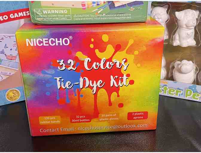 DIY Party Kits-Tie-Dye, Bird Feeder, Plaster Figurines, and Mobile Game Maker