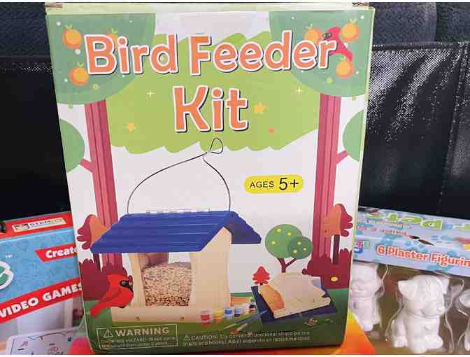 DIY Party Kits-Tie-Dye, Bird Feeder, Plaster Figurines, and Mobile Game Maker