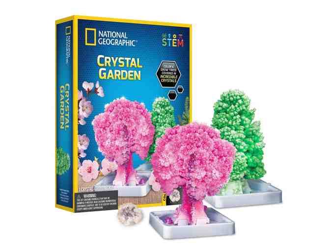 National Geographic Crystal Garden STEM Science Kit