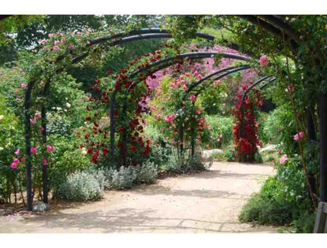 Descanso Gardens - (4) Daytime Admission Passes - Photo 5