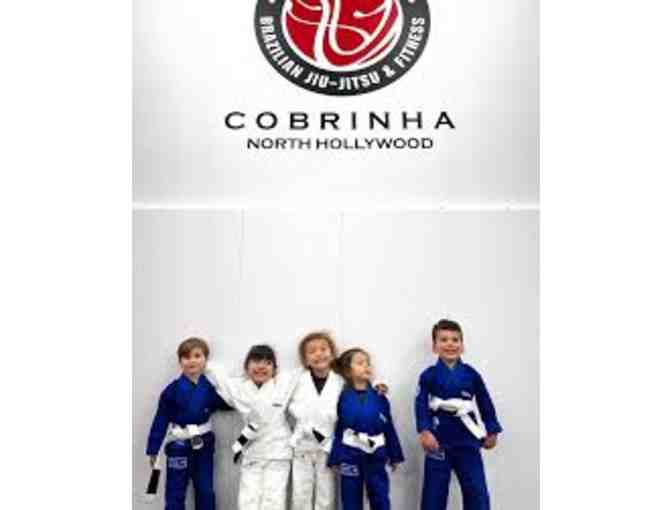 Cobrinha Brazilian Jiu-Jitsu - 1 Month Lessons