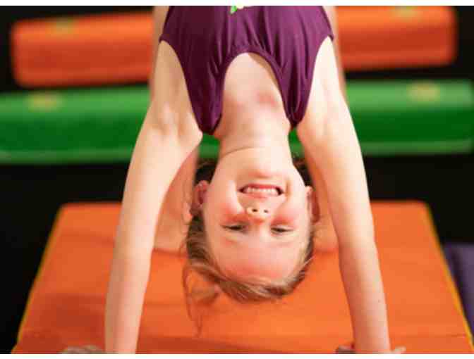 Cal Elite Kids - (1) Month Gymnastics Classes