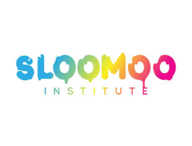 Sloomoo Institute - 2 General Admission Tickets to SLIME