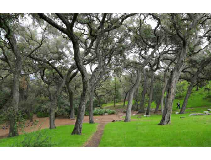 Descanso Gardens - (4) Daytime Admission Passes - Photo 3