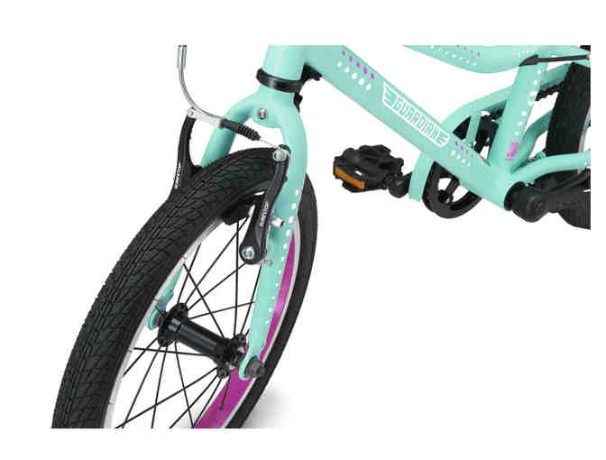 Guardian 16' Kids Bicycle - Mint Purple