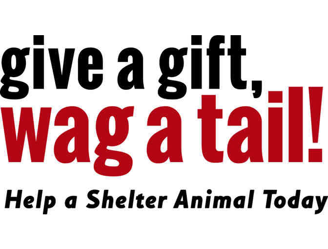Buy Toys for an entire Shelter