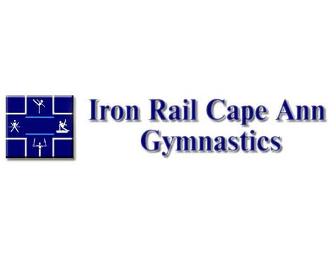 Children Flip for 'Iron Rail Gymnastic Academy', 1 month class tuition and registration