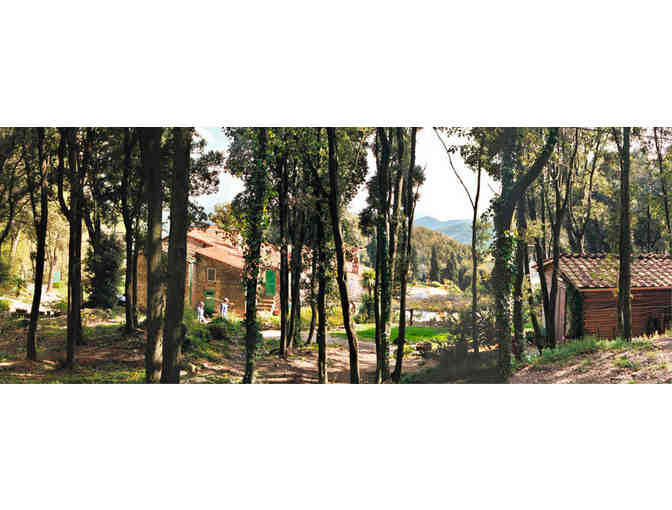 1-Week Tuscan Vacation at Villa Sassella, Italy plus Learn to Speak Italian