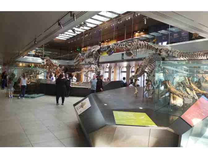 Natural History Museum - 4 admission passes