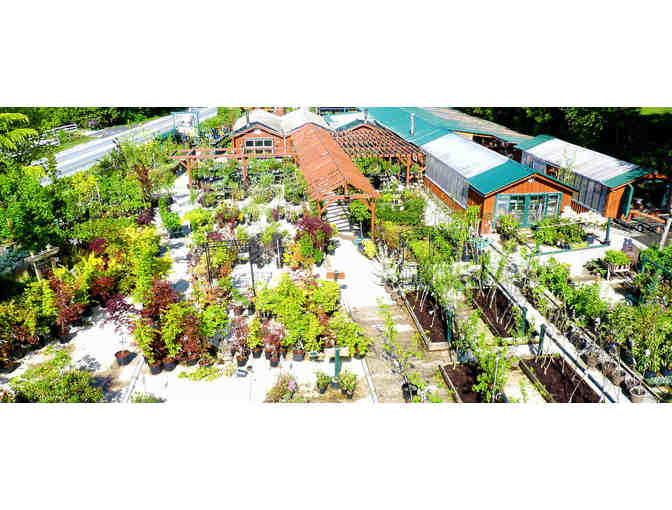 Sunshine Coast Nursery $250 Gift Card