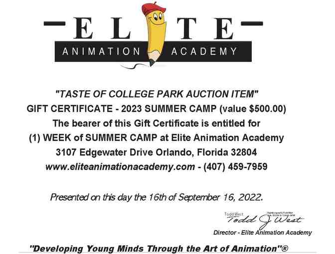 Elite Animation Academy- Summer Camp