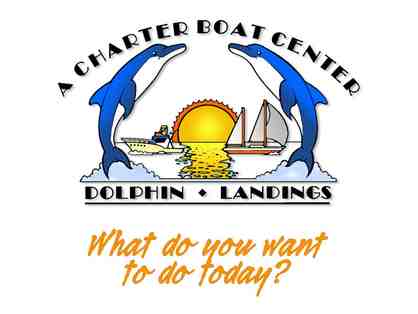 Four (4) passes for Dolphin Watch or Sunset Sail at Dolphin Landings, St. Petersburg, FL