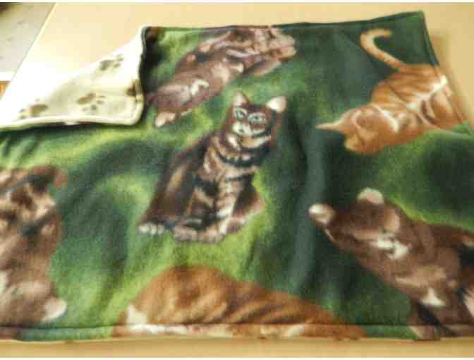 Catnip Blanket with organic catnip
