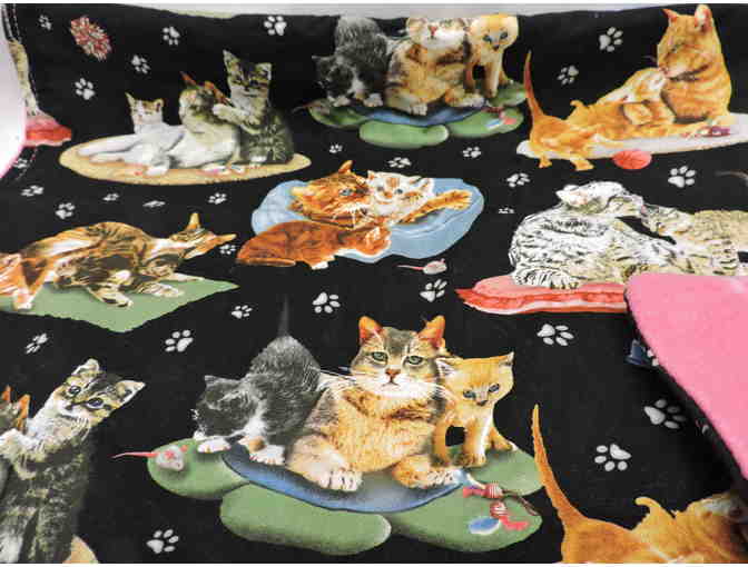 Catz on Matz Catnip Blanket (No toy)