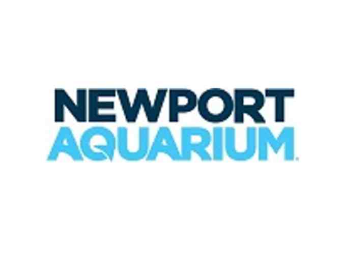 Day at Newport on the Levee with the Newport Aquarium and Dewey's Pizza