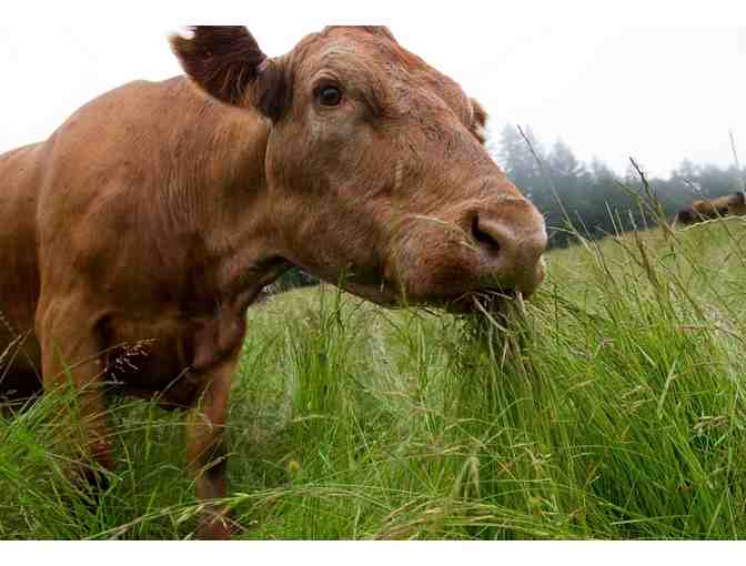 10 lbs of Grass Fed Beef from Shrewsbury, VT