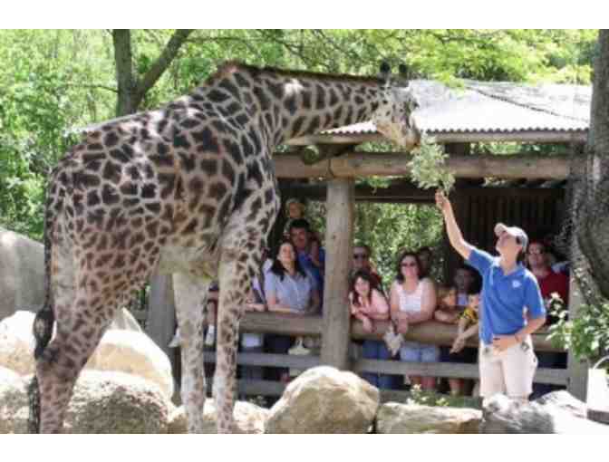 Zoo Lover's Excursion! (II)