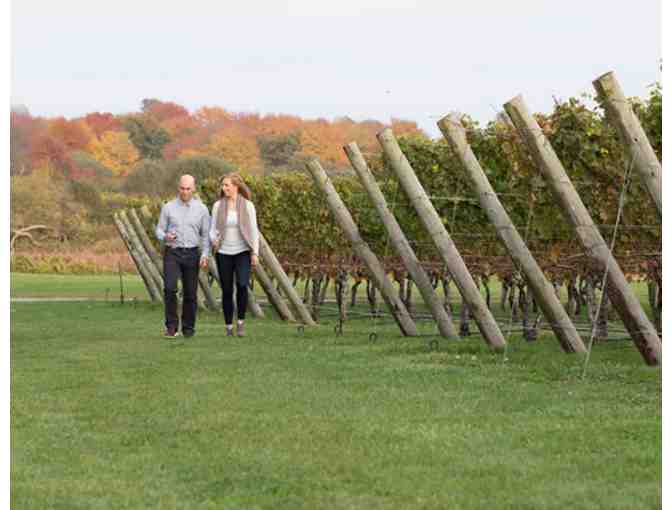 Tour & Tasting at Newport Vineyards