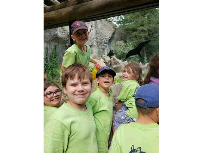 Summer Adventures ZooCamp at Roger Williams Park Zoo!