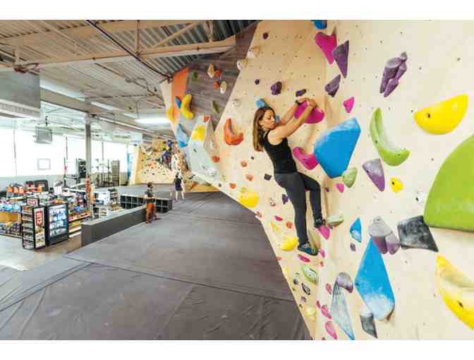 Indoor Rock Climbing w/ Gear Rental for Four - Photo 2