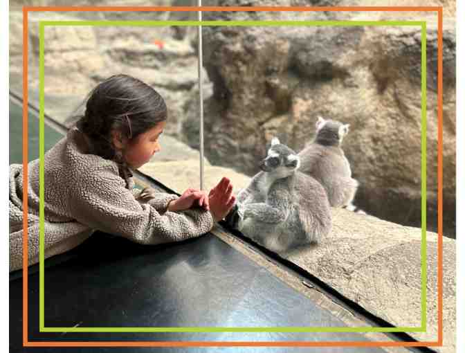 Behind the Scenes Tour with Zoo New England