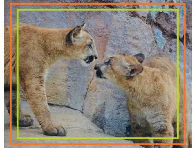 Family Visit to the EcoTarium - Photo 1