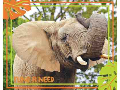 Fund-A-Need: Feed an Elephant for a Day