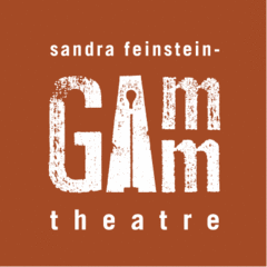 The Gamm Theatre