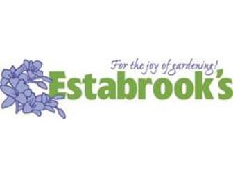$50 Gift Certificate to Estabrook's