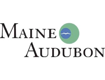 One-year Maine Audubon Household Membership
