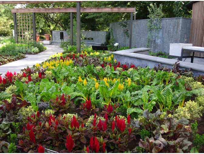 $100 Gift Card to Chavela's and 2 Passes to the Brooklyn Botanical Gardens