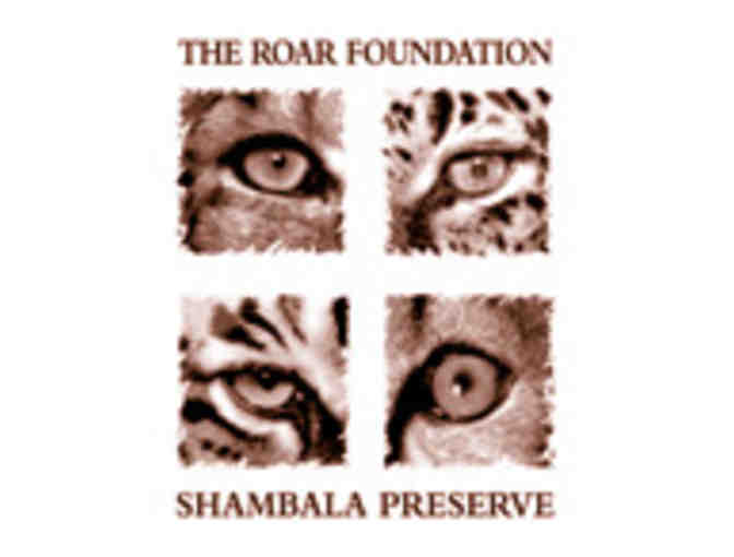 Shambala Preserve Basket