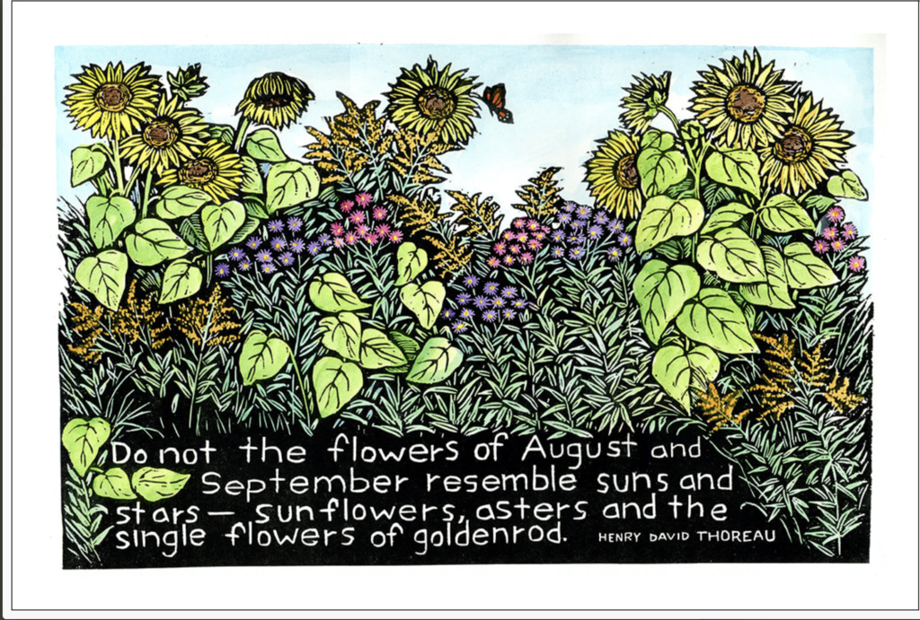 Mary Azarian *Woodcut/Painted Print *Summer Flowers Thoreau Quote