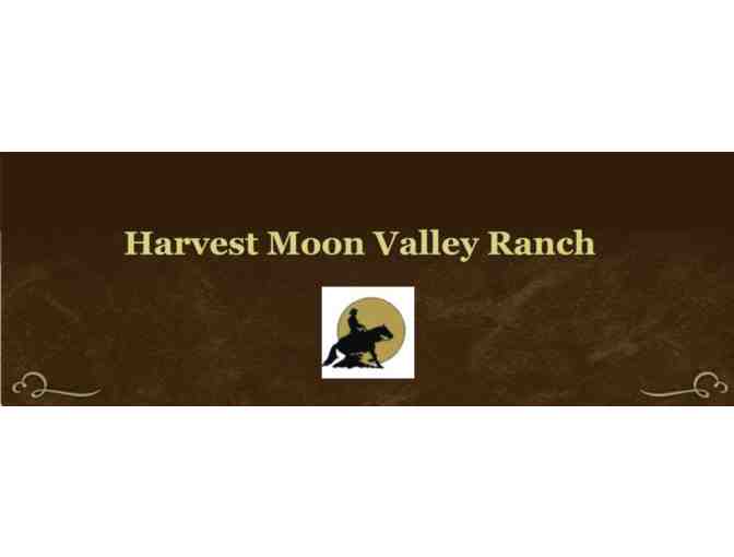 15% off Pony Party with Harvest Moon Valley Ranch at your location! (Near Starksboro VT)