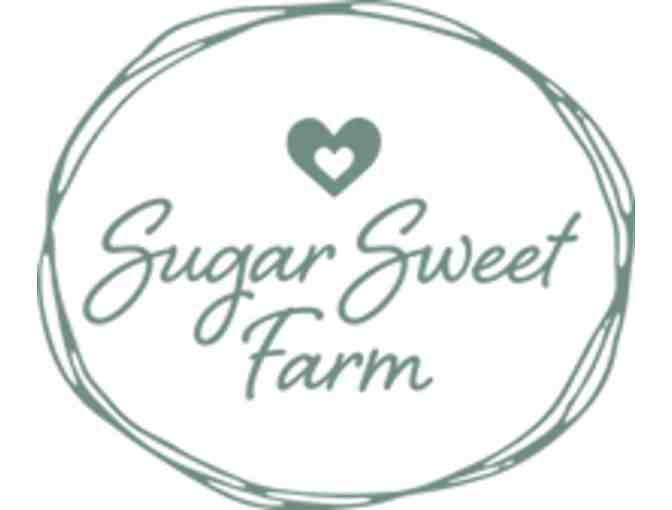 Two (2) Goat Yoga Class Gift Certificates with Swag - Bag Sugar Sweet Farm