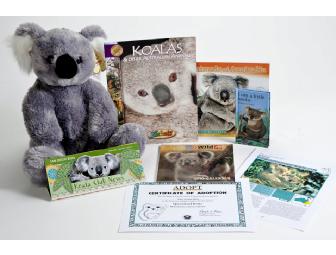 Koala Kids Zoo Package