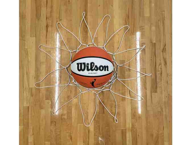 2025 Official Game Used Ball & Net