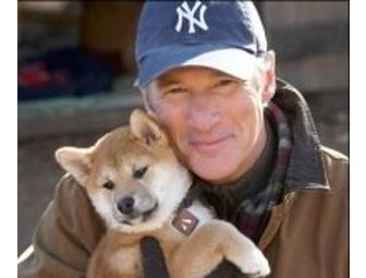 HACHI: A DOG'S STORY DVD and Original Dog Collar Memorabilia