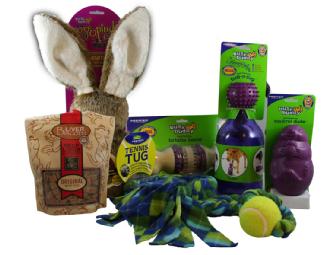Busy Buddy Squirrel Dude, Pogo Bunny & more cool toys for the dog!