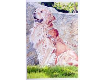 Custom Watercolor or Colored Pencil Pet Portrait by Artist Hava Hegenbarth