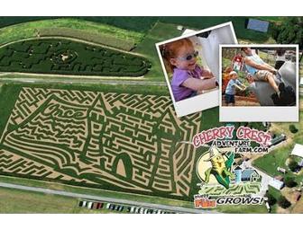 Cherry Crest Adventure Farm Admission for Four - Lancaster County, PA